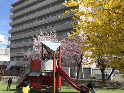＊4月28日＊
