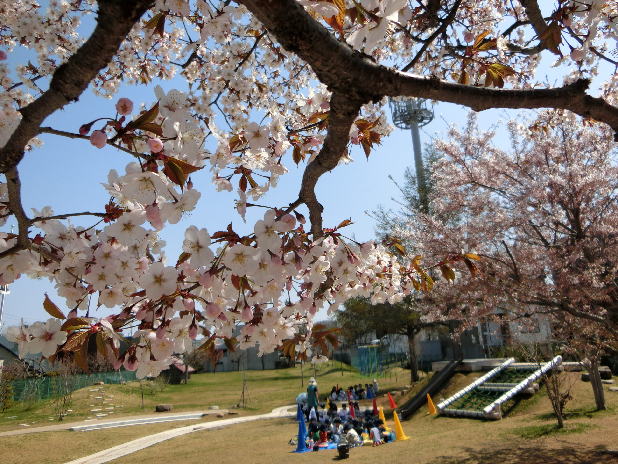 4月30日・5月1日の預かり保育