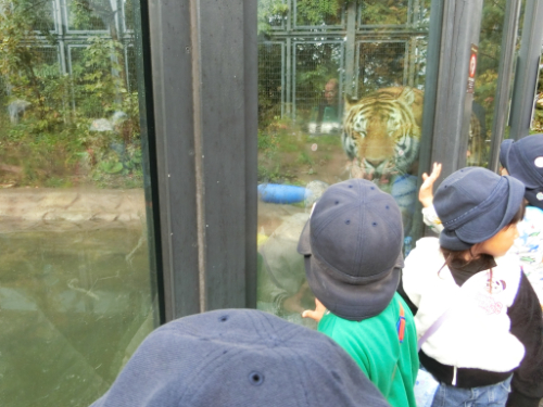 くりグループ　円山動物園