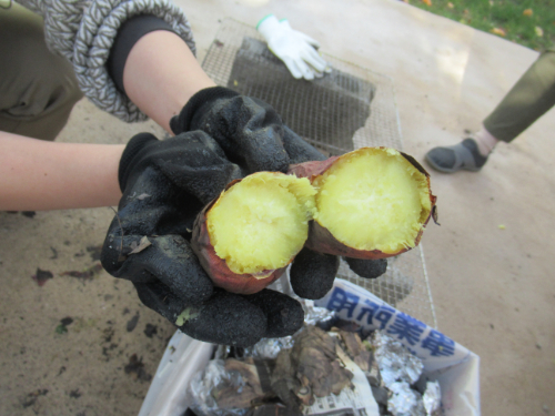 焼き芋