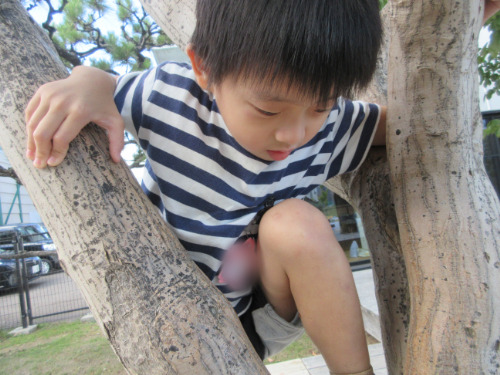 9月の様子～園庭編～