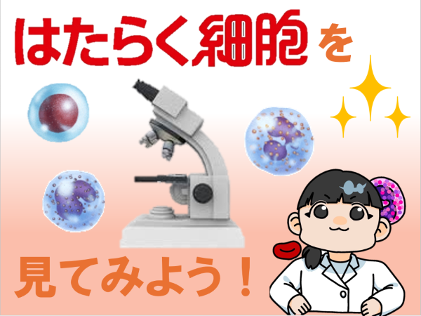 臨床検査技師科