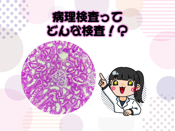 臨床検査技師科